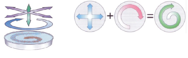 2900圆形摇摆筛运动轨迹